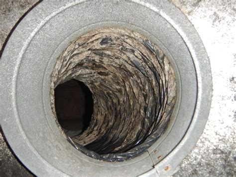 ac duct work mold in distribution box|mold in air conditioner duct.